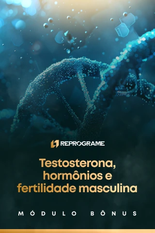MODULO BÔNUS